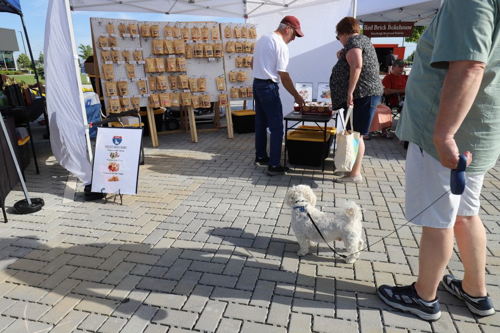 dog watches owner get treat from vendor