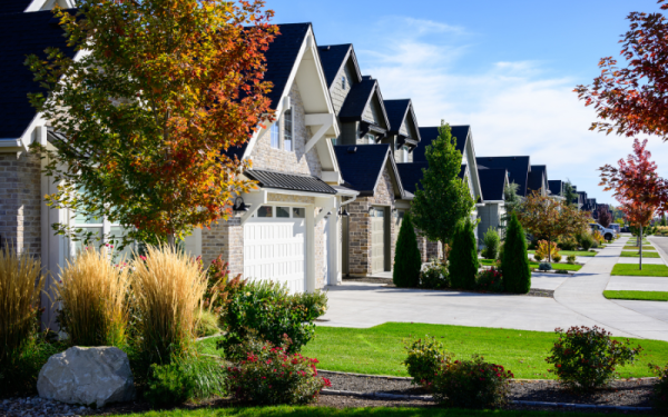 November 2025 Community Newsletter